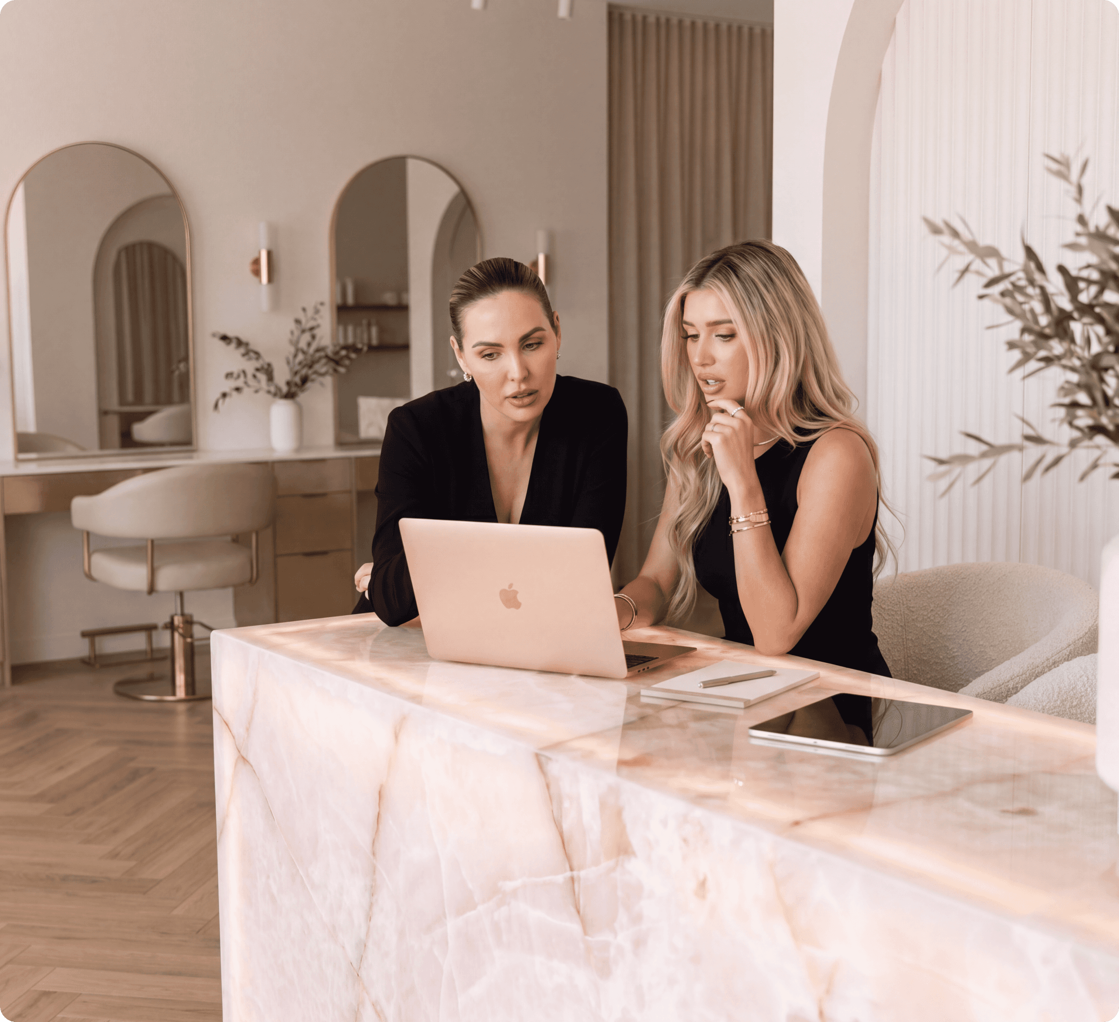 Consultants reviewing business on laptop